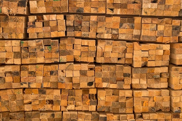 kayu kamper samarinda